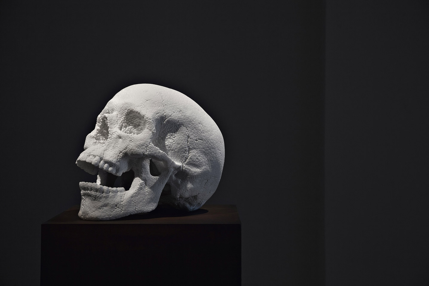 punk fabio viale poggiali forconi marmo marble skull teschio polistirolo